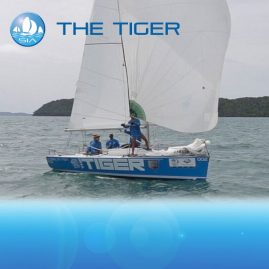 Tiger racing charter